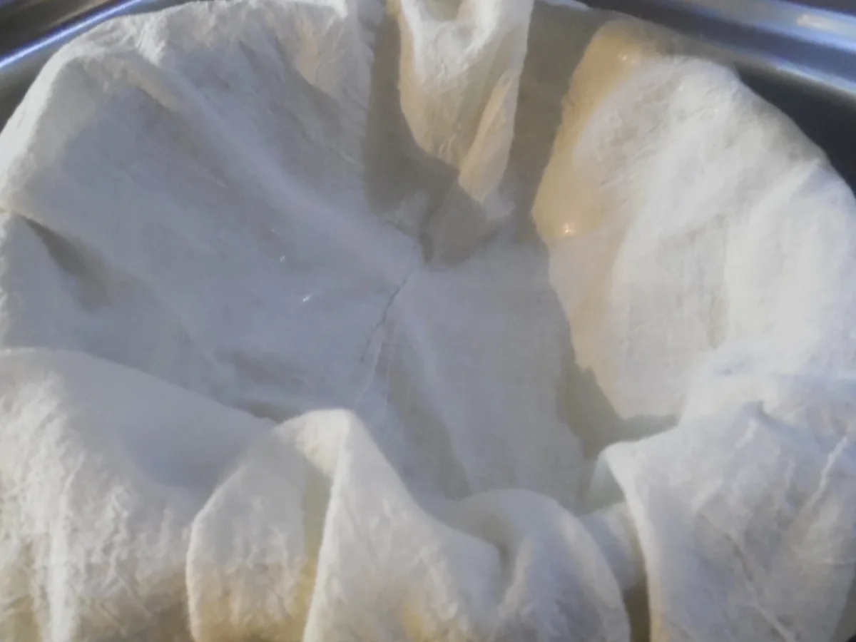 Halloumi selber machen - Rezept - Bild Nr. 4968