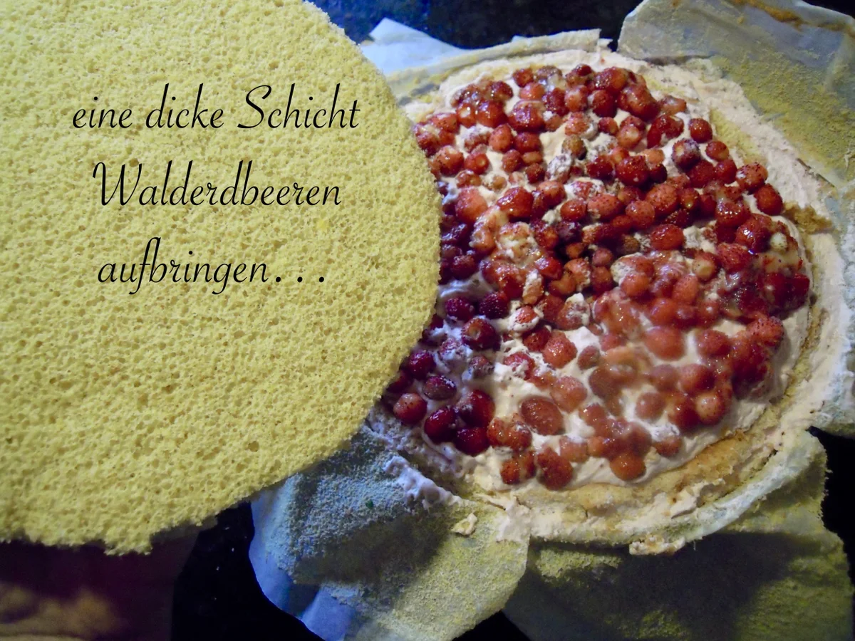 Rezept: Kuppeltorte mit Walderdbeersahne Bild Nr. 4972 Kuppeltorte mit Walderdbeersahne - Rezept - Bild Nr. 4972