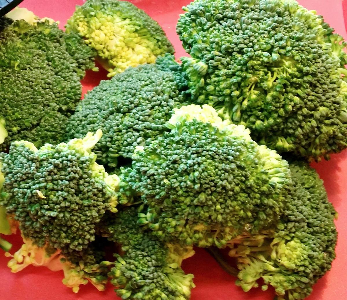 Broccoli-Cremesuppe - Rezept - Bild Nr. 4963