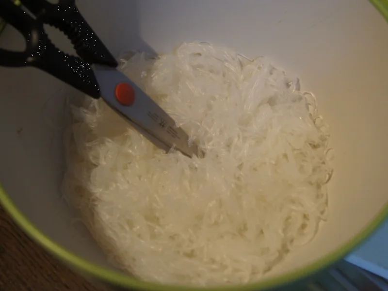 Rezept: Kokosmilchsuppe mit Putenfleisch, Gemüse und Glasnudeln Bild Nr. 4964 Kokosmilchsuppe mit Putenfleisch, Gemüse und Glasnudeln - Rezept - Bild Nr. 4964