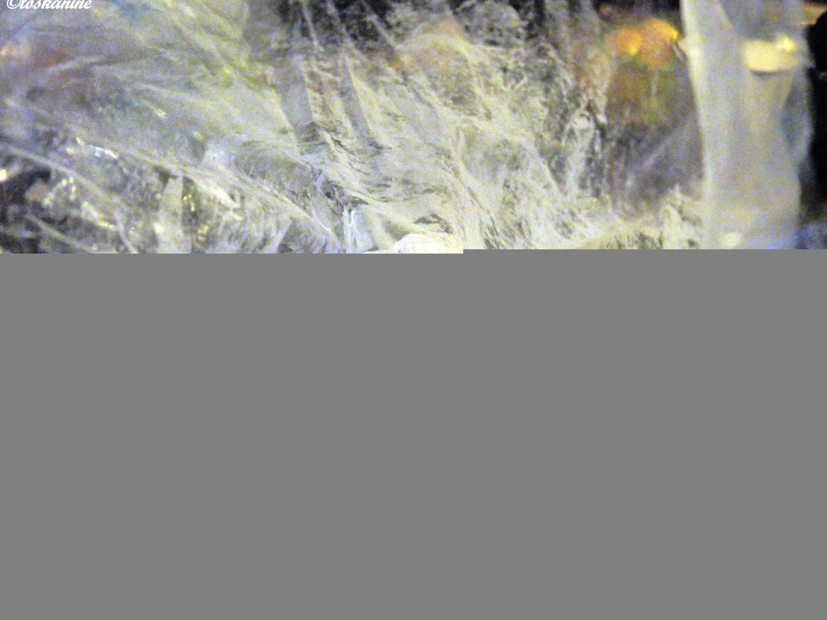 Rezept: Hähnchen-Rosenkohl-Curry Bild Nr. 6 Hähnchen-Rosenkohl-Curry - Rezept - Bild Nr. 6