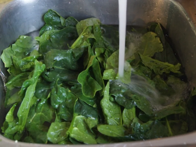 Rezept: Gebackene Eier auf frischen Blattspinat Bild Nr. 4983 Gebackene Eier auf frischen Blattspinat - Rezept - Bild Nr. 4983