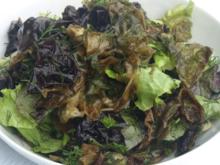 Blattsalate mit feinen Salatalgen - Rezept - Bild Nr. 4981