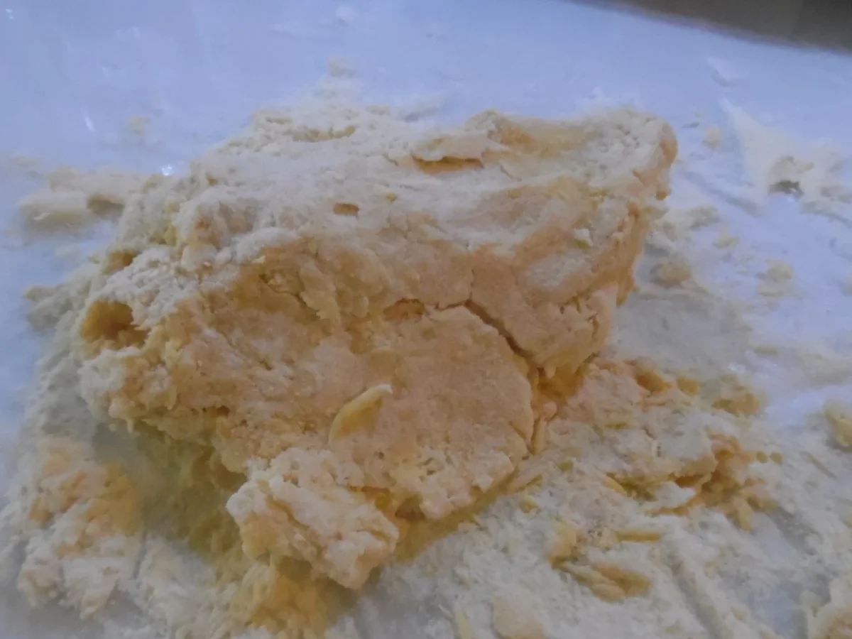 Calamarata - Rezept - Bild Nr. 5011