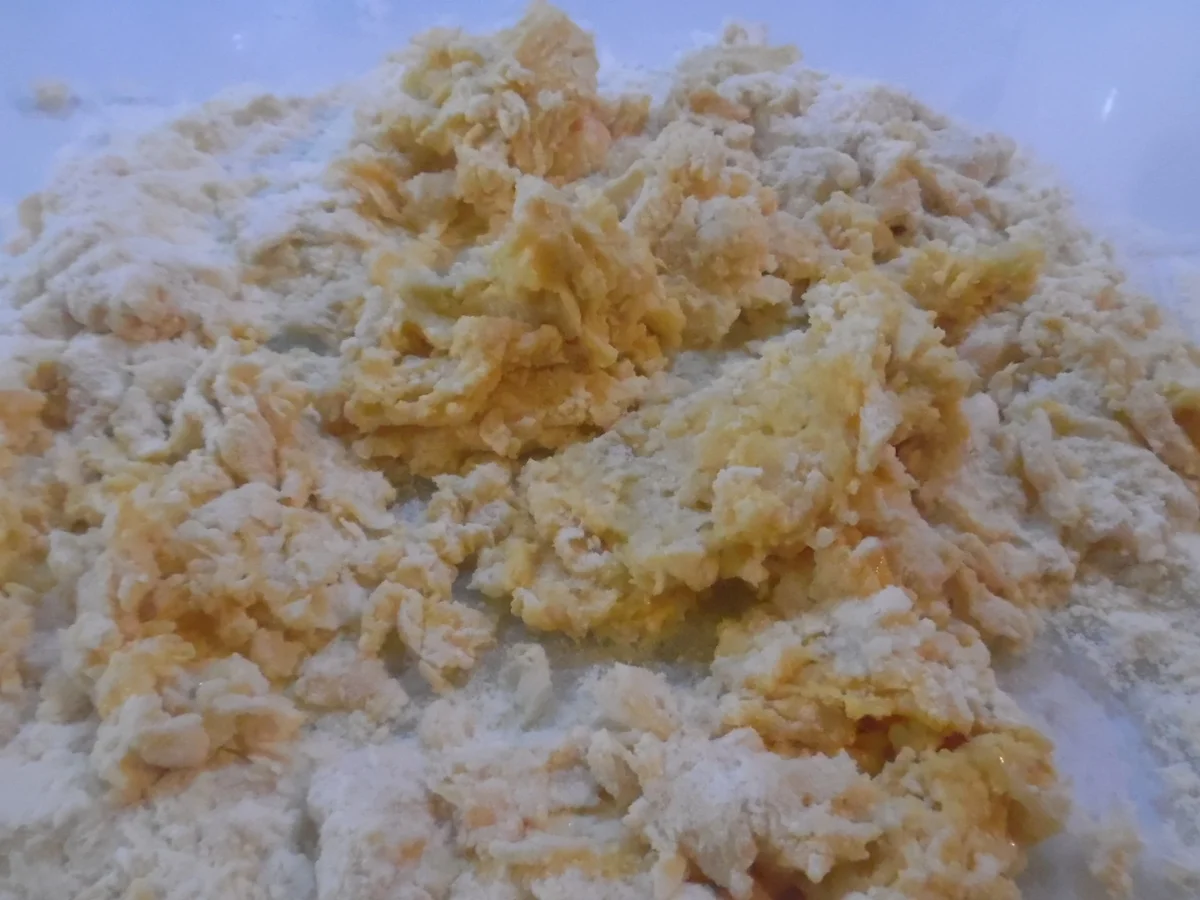 Calamarata - Rezept - Bild Nr. 5012