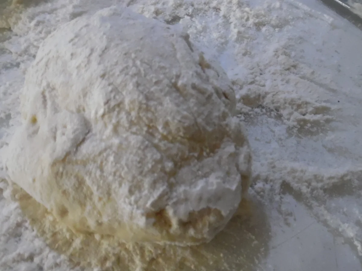 Panini - Rezept - Bild Nr. 5007