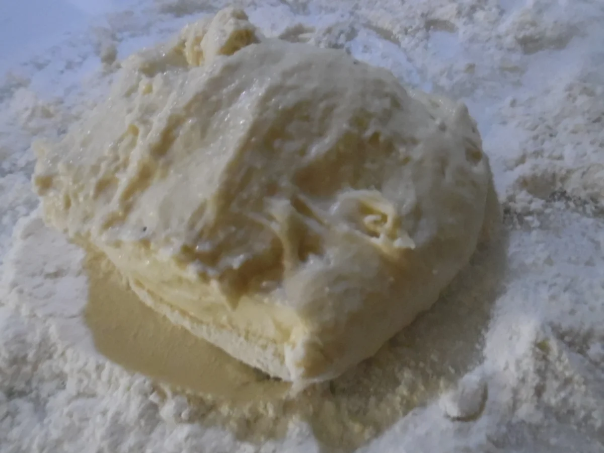 Panini - Rezept - Bild Nr. 5008