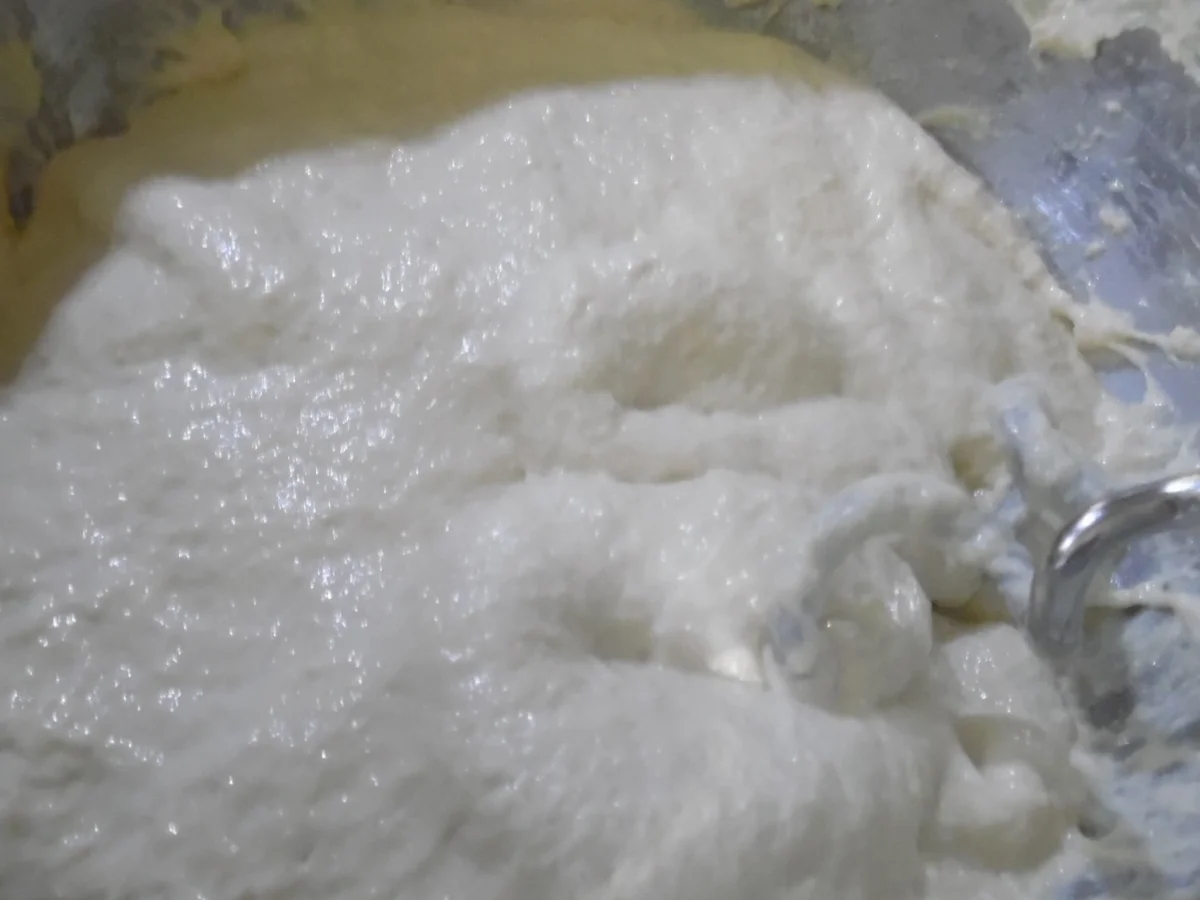 Panini - Rezept - Bild Nr. 5009