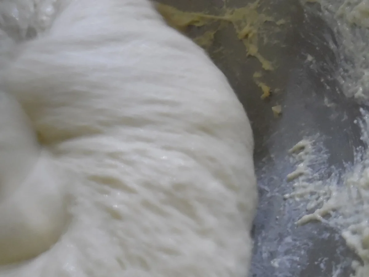 Panini - Rezept - Bild Nr. 5010