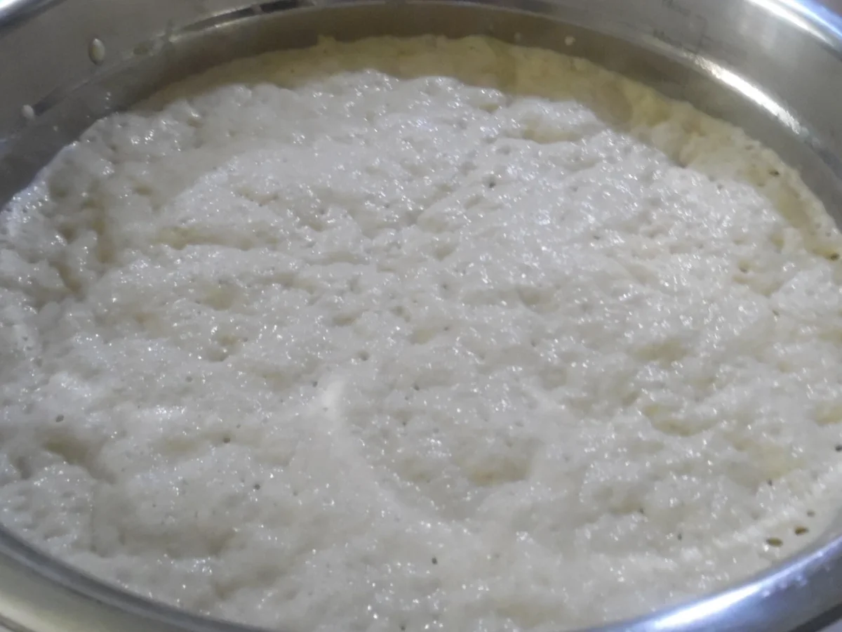 Panini - Rezept - Bild Nr. 5011