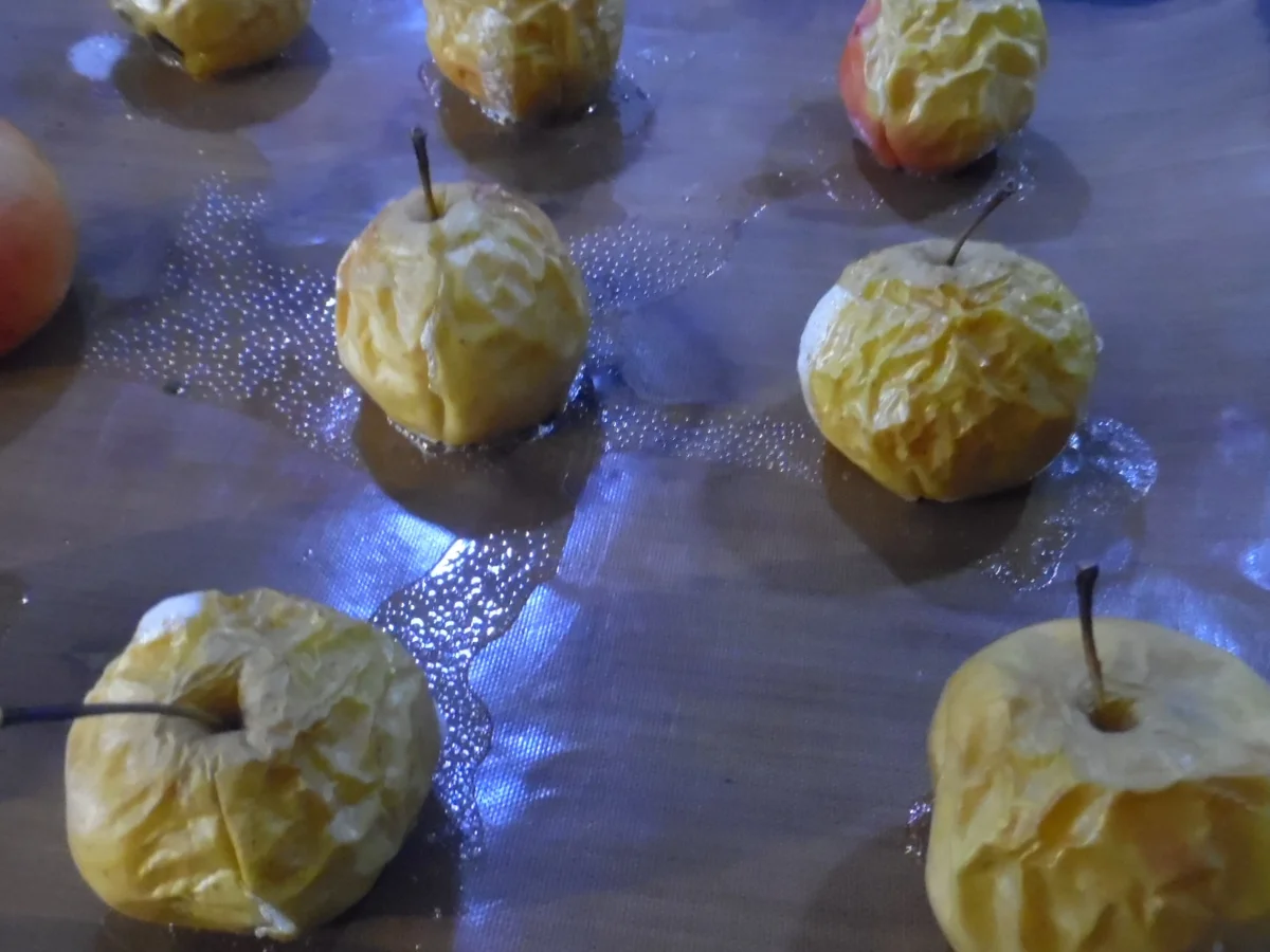 Apfel-Likör - Rezept - Bild Nr. 5006