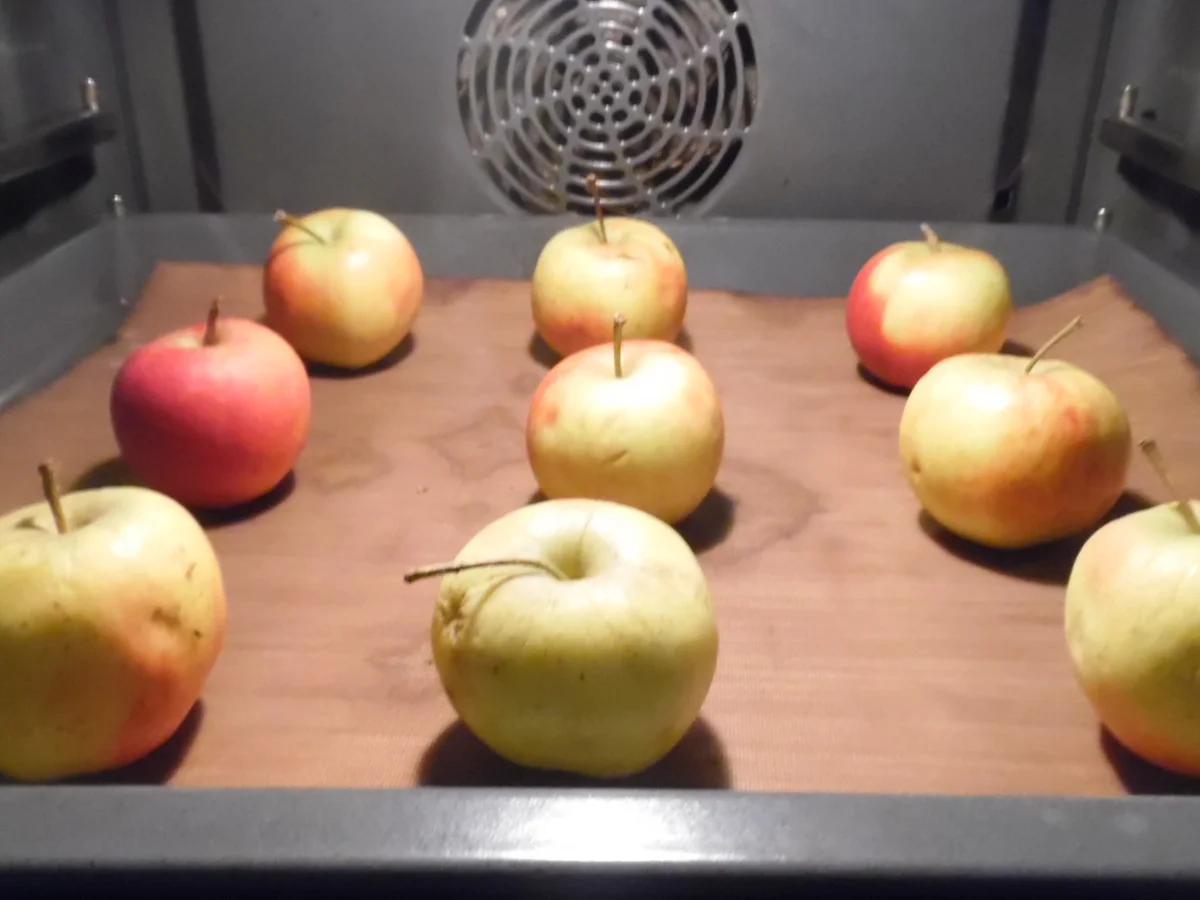 Apfel-Likör - Rezept - Bild Nr. 5007