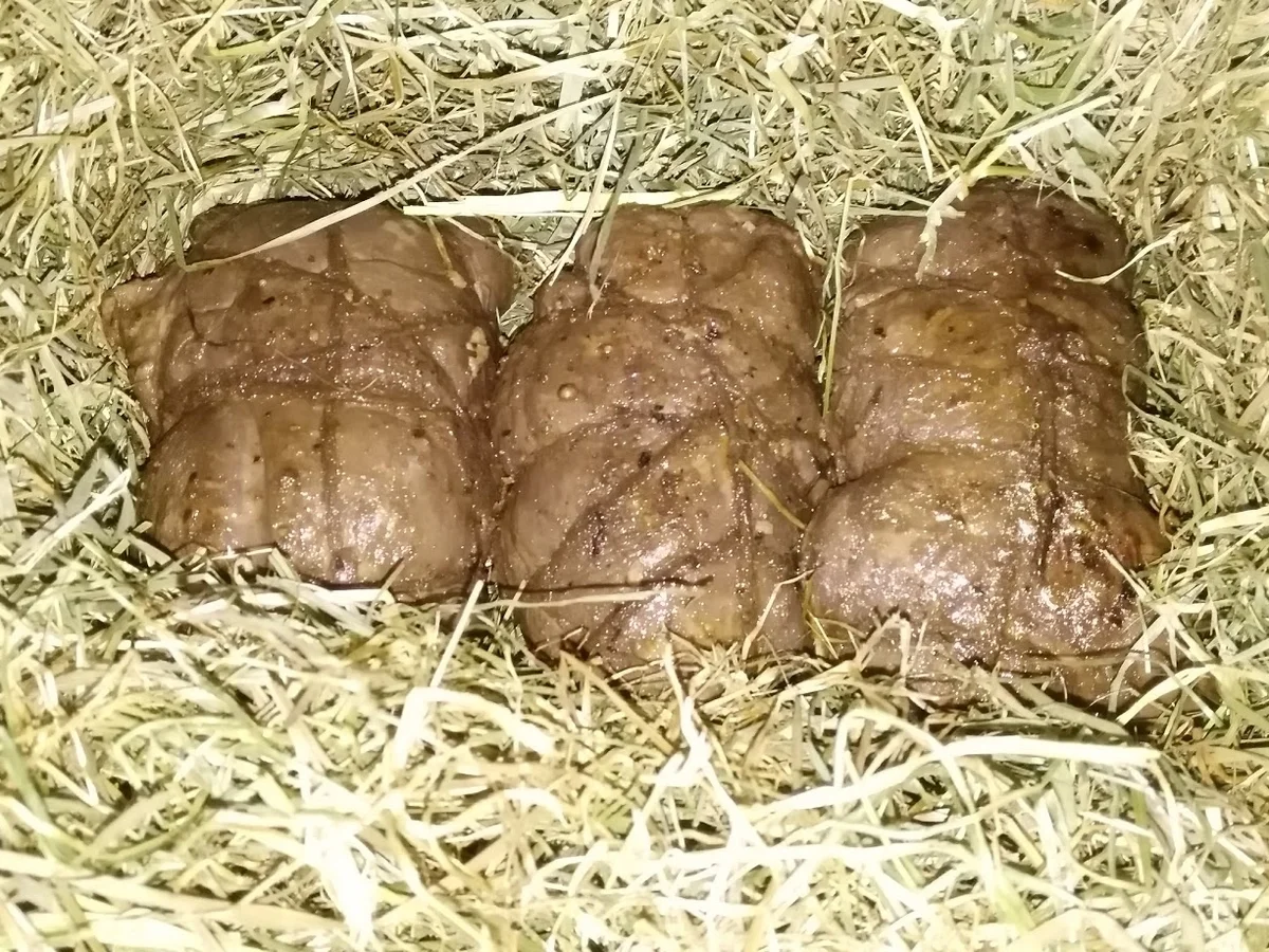 Rehkeule im Heubett - Rezept - Bild Nr. 5011