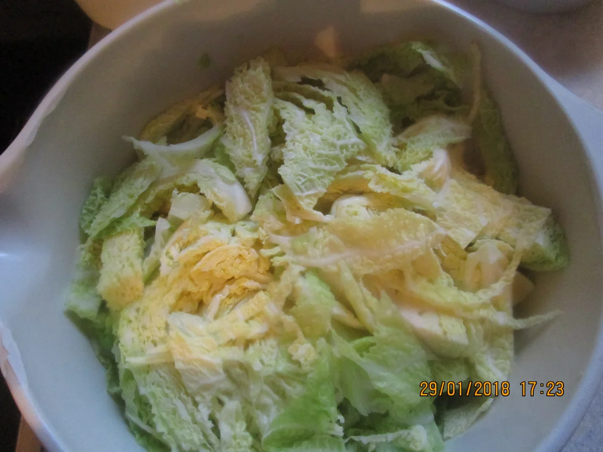 Rezept: Nudelauflauf mit Wirsing und Schinken Bild Nr. 5015 Nudelauflauf mit Wirsing und Schinken - Rezept - Bild Nr. 5015