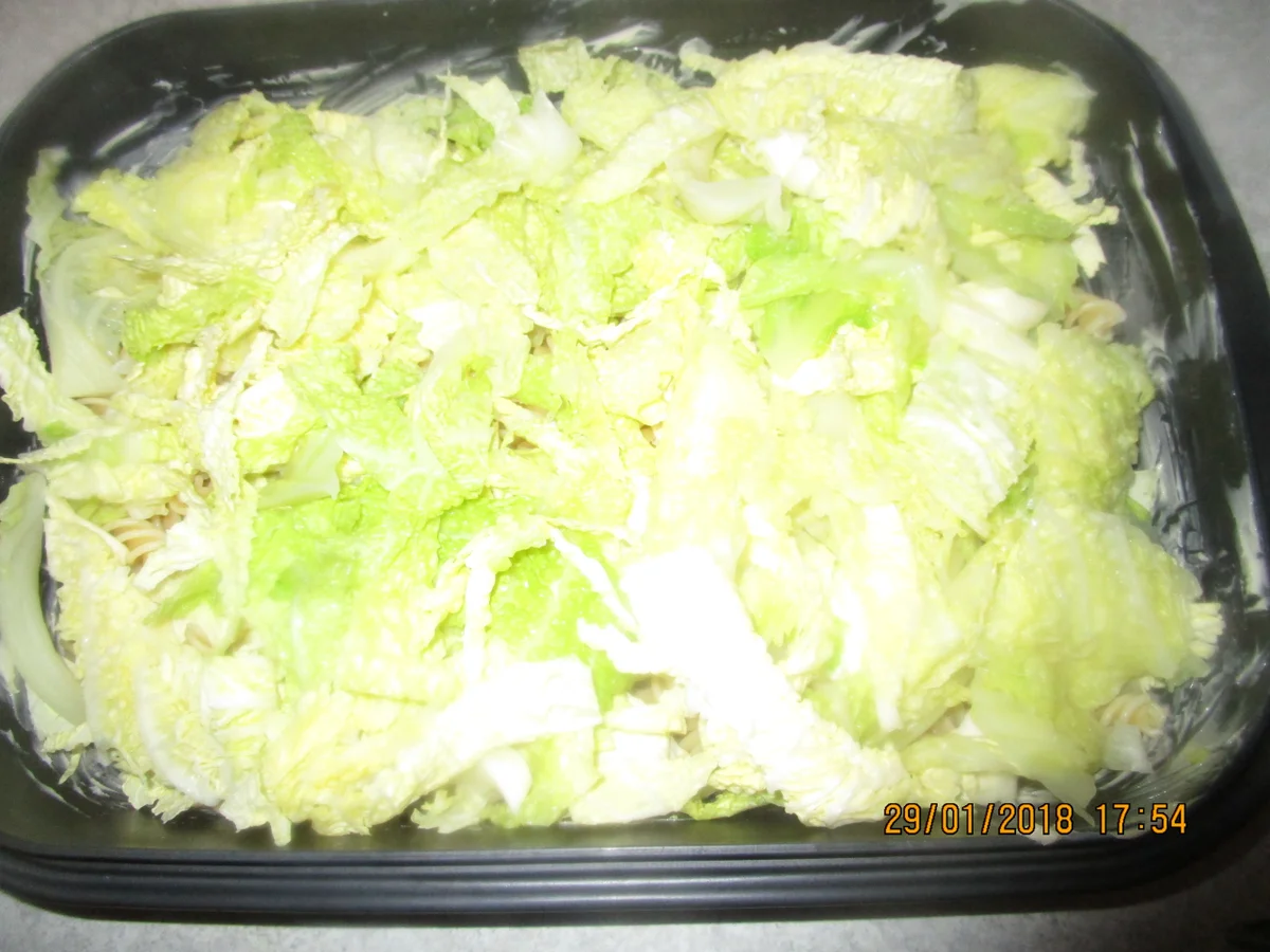 Rezept: Nudelauflauf mit Wirsing und Schinken Bild Nr. 5021 Nudelauflauf mit Wirsing und Schinken - Rezept - Bild Nr. 5021