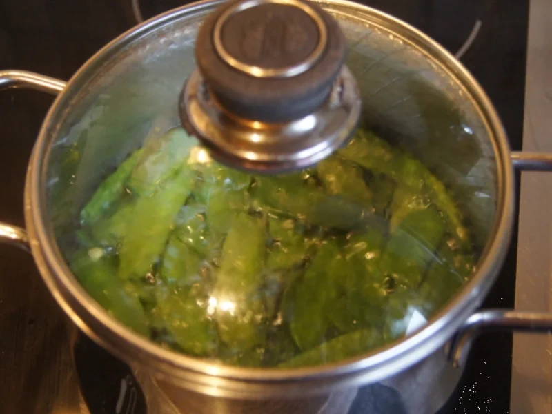 Mariniertes Wildlachsfilet mit Zuckererbsen - Rezept - Bild Nr. 5024