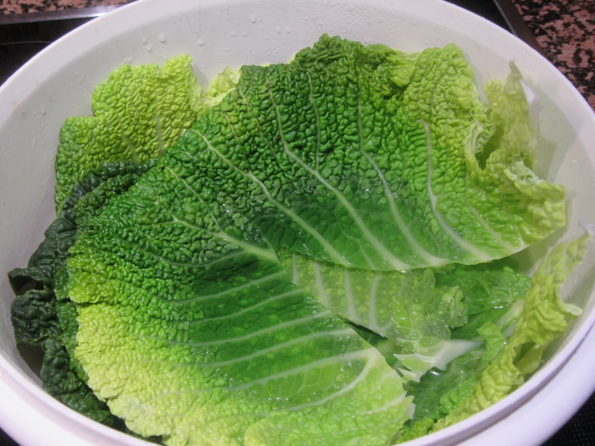 Gemüse: Wirsing-Lasagne - Rezept - Bild Nr. 5017