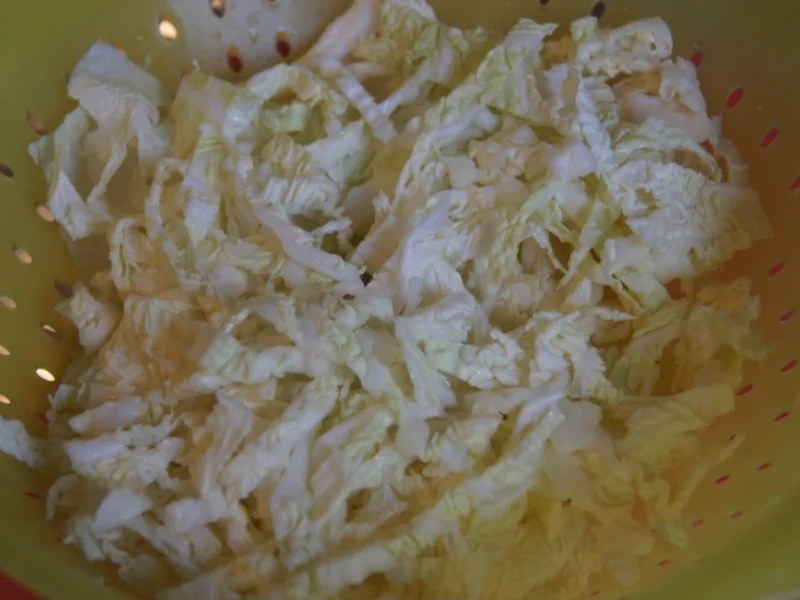 Wirsing-Gemüse-Eintopf mit Hähnchenbrustfilet - Rezept - Bild Nr. 5019