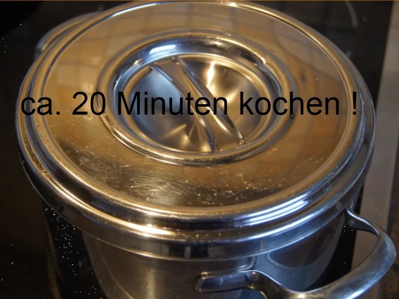 Wirsing-Gemüse-Eintopf mit Hähnchenbrustfilet - Rezept - Bild Nr. 5028