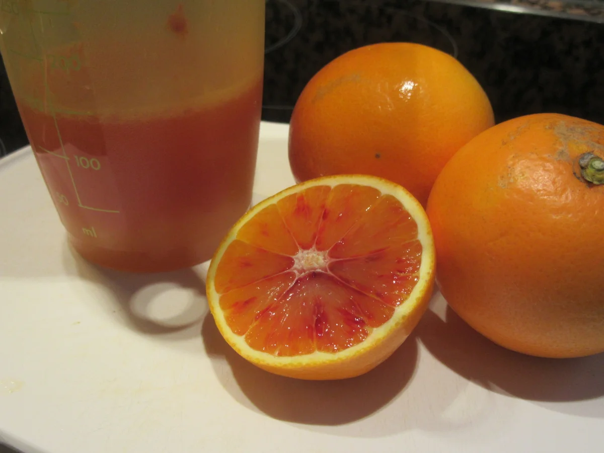 Dessert: Karamellisierte Blutorangen mit Vanillejoghurt - Rezept - Bild Nr. 5027