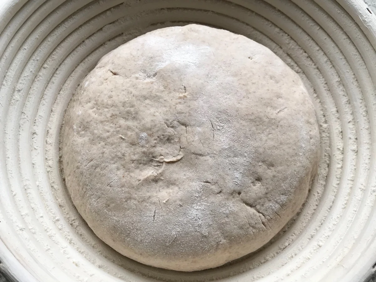 Rustikales Bauernbrot mit Sauerteig - Rezept - Bild Nr. 5092