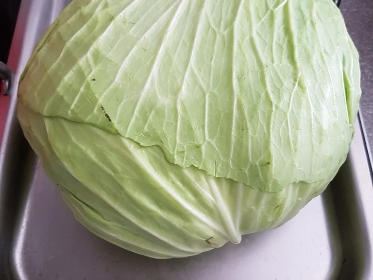 Rezept: Jaroma Kohlgemüse Bild Nr. 5026 Jaroma Kohlgemüse - Rezept - Bild Nr. 5026