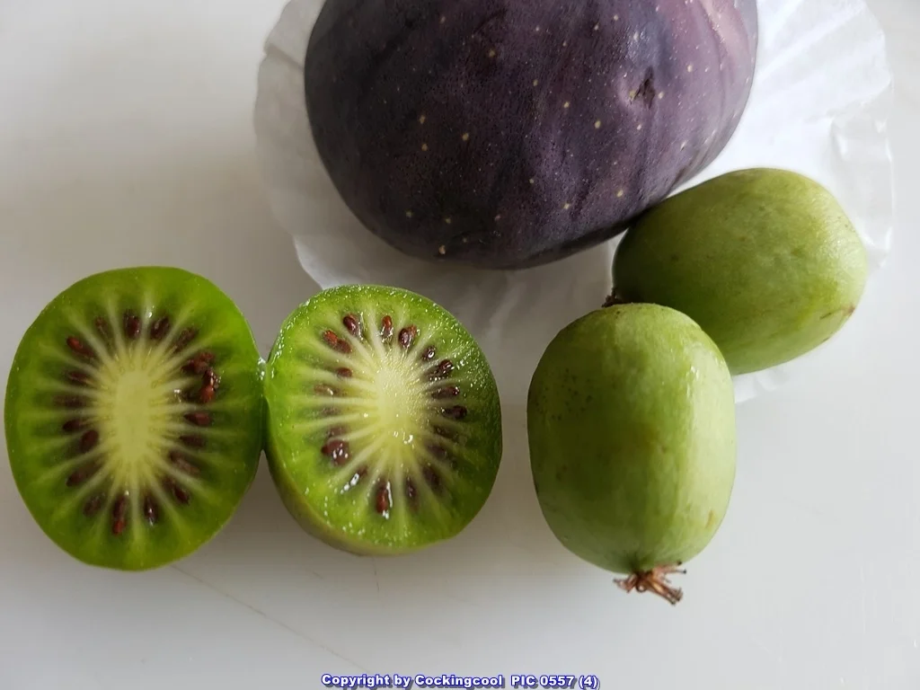 Minikiwi`s mit etwas Spritzigem und Cremigem und Wackelpudding - Rezept - Bild Nr. 5029