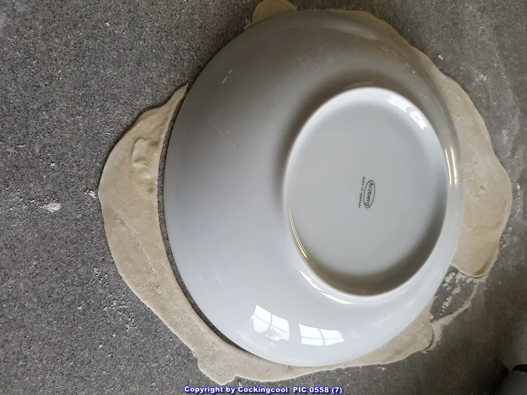 Pizza Studiooso (Pizza backen nach/mit Bilderrezept) - Rezept - Bild Nr. 5100