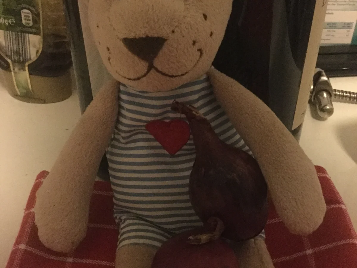 Rezept: Heißes Hähnchen Bild Nr. 5061 Heißes Hähnchen - Rezept - Bild Nr. 5061