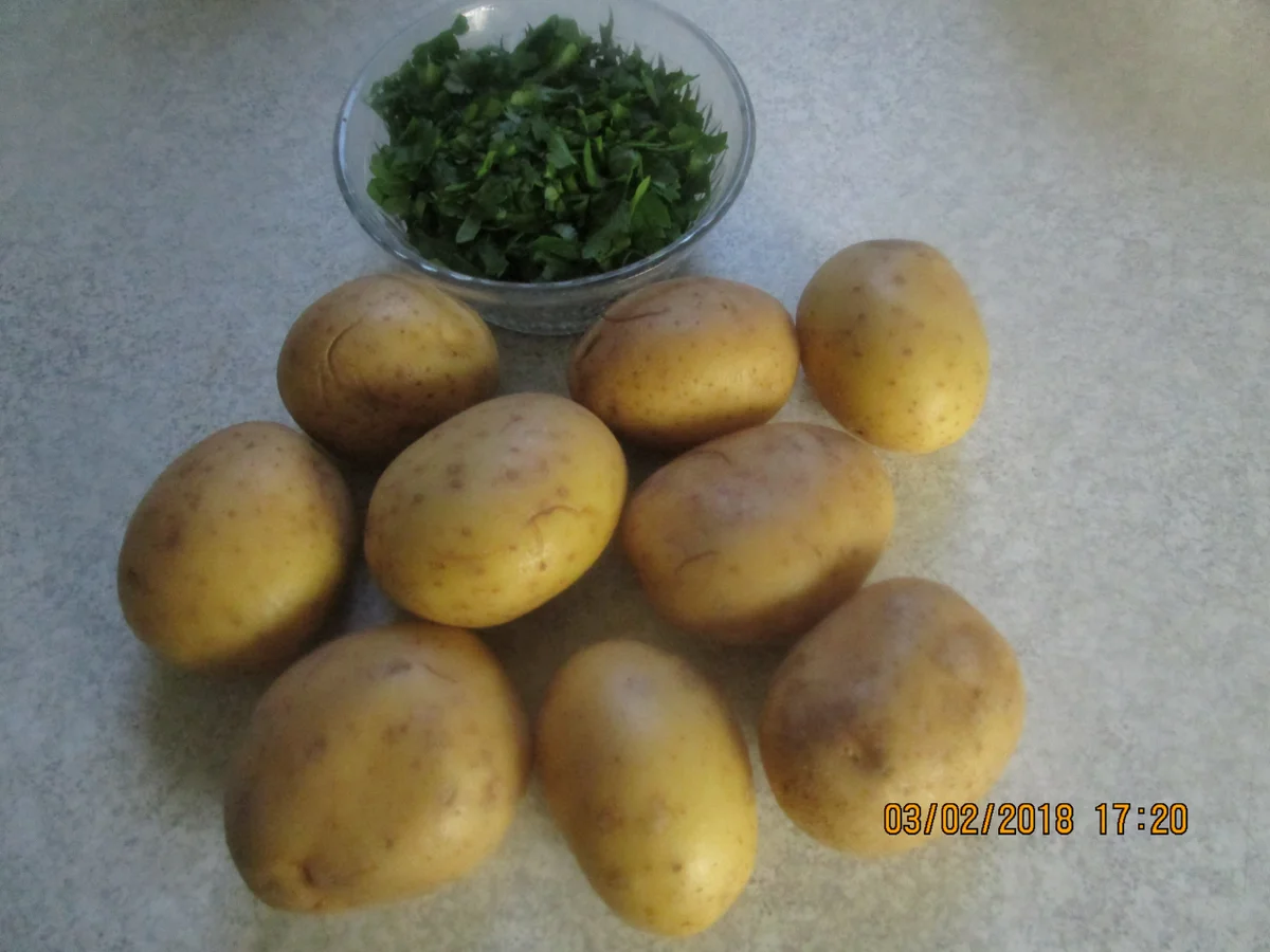 Rezept: Zanderfilet gebraten mit RAhmsauerkraut und Paprika Bild Nr. 5108 Zanderfilet gebraten mit RAhmsauerkraut und Paprika - Rezept - Bild Nr. 5108