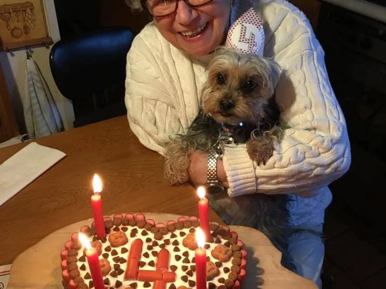 Hundekuchen - Rezept - Bild Nr. 5097