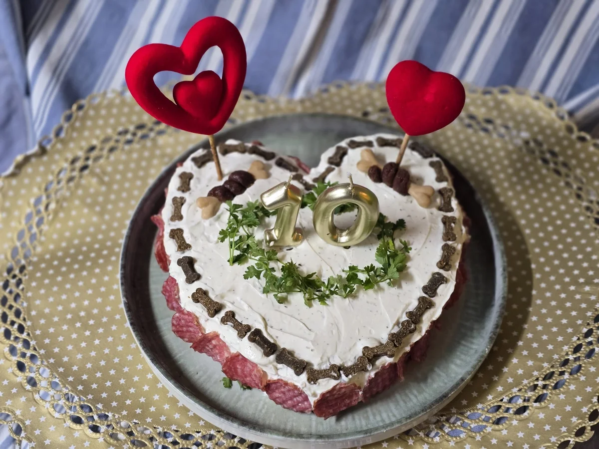 Hundekuchen - Rezept - Bild Nr. 5098