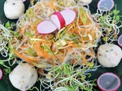 Frischer Kelp-Noodle-Salat mit scharfen Gemüsen - Rezept - Bild Nr. 5156