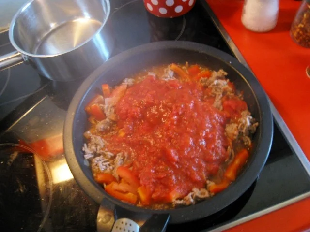 Rezept: Nudelauflauf mit Reginette Nudel und Hackfleisch Bild Nr. 5169 Nudelauflauf mit Reginette Nudel und Hackfleisch - Rezept - Bild Nr. 5169