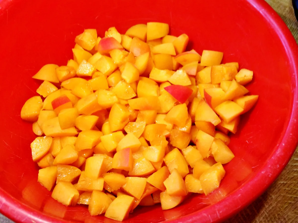 Kleiner Aprikosen-Guglhupf (18 cm) - Rezept - Bild Nr. 5175