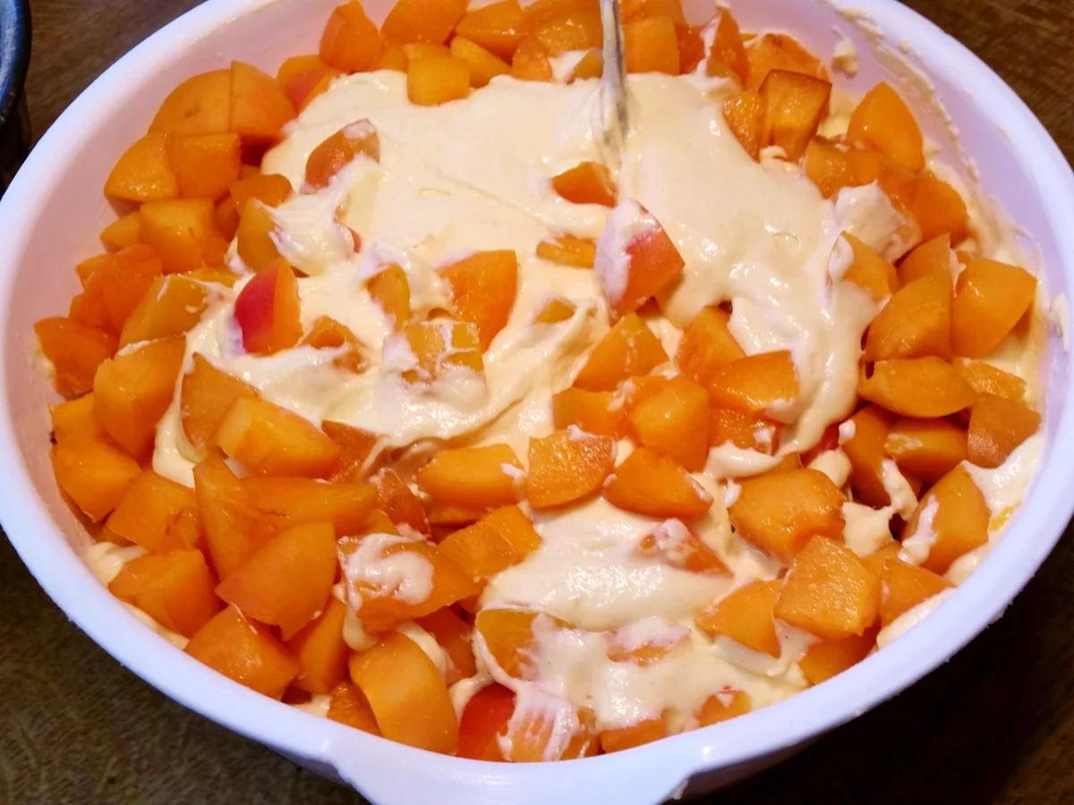 Kleiner Aprikosen-Guglhupf (18 cm) - Rezept - Bild Nr. 5176