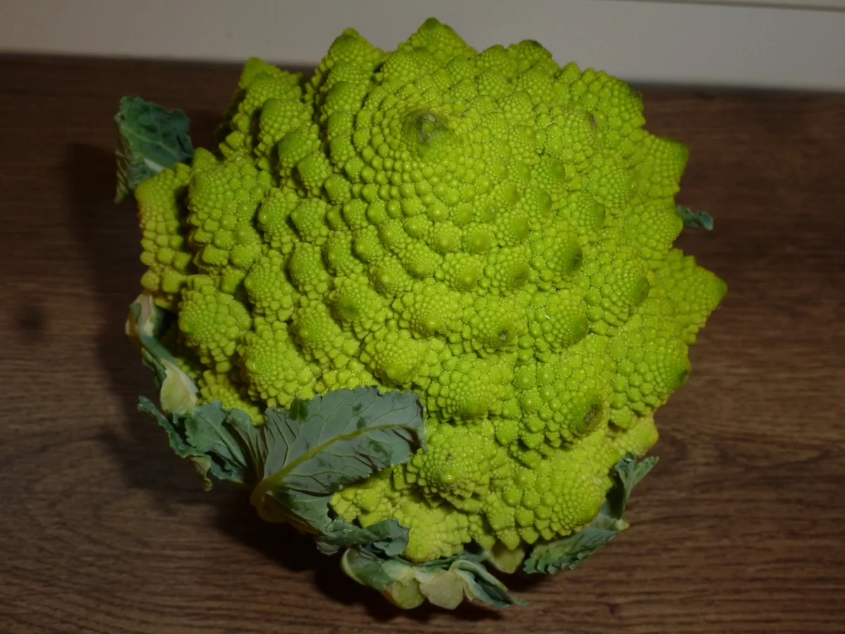 Rezept: Kleine Hefepfannkuchen & Romanesco in Parmesan-Senfsoße Bild Nr. 5201 Kleine Hefepfannkuchen & Romanesco in Parmesan-Senfsoße - Rezept - Bild Nr. 5201