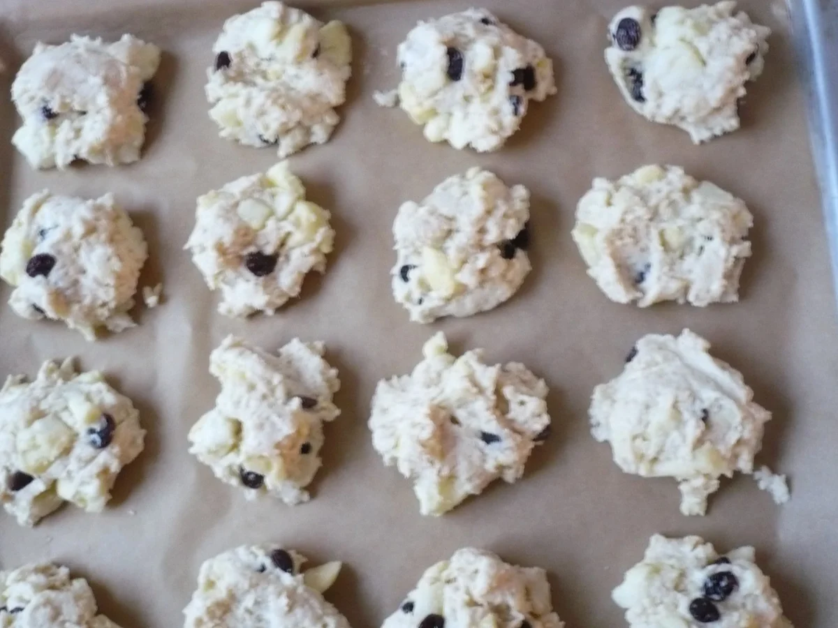 Apfelballen - Rezept - Bild Nr. 5205