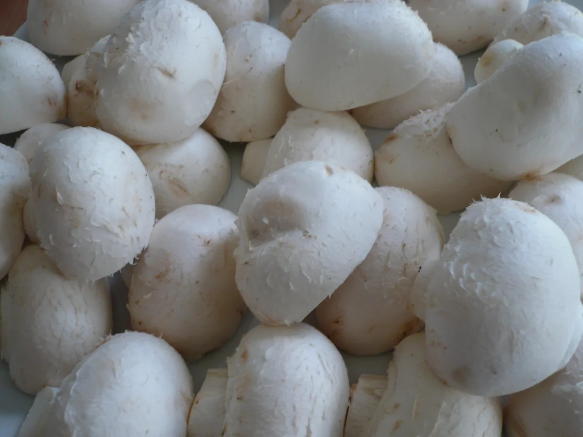 Rezept: Geschmorte Beinscheiben Bild Nr. 5204 Geschmorte Beinscheiben - Rezept - Bild Nr. 5204