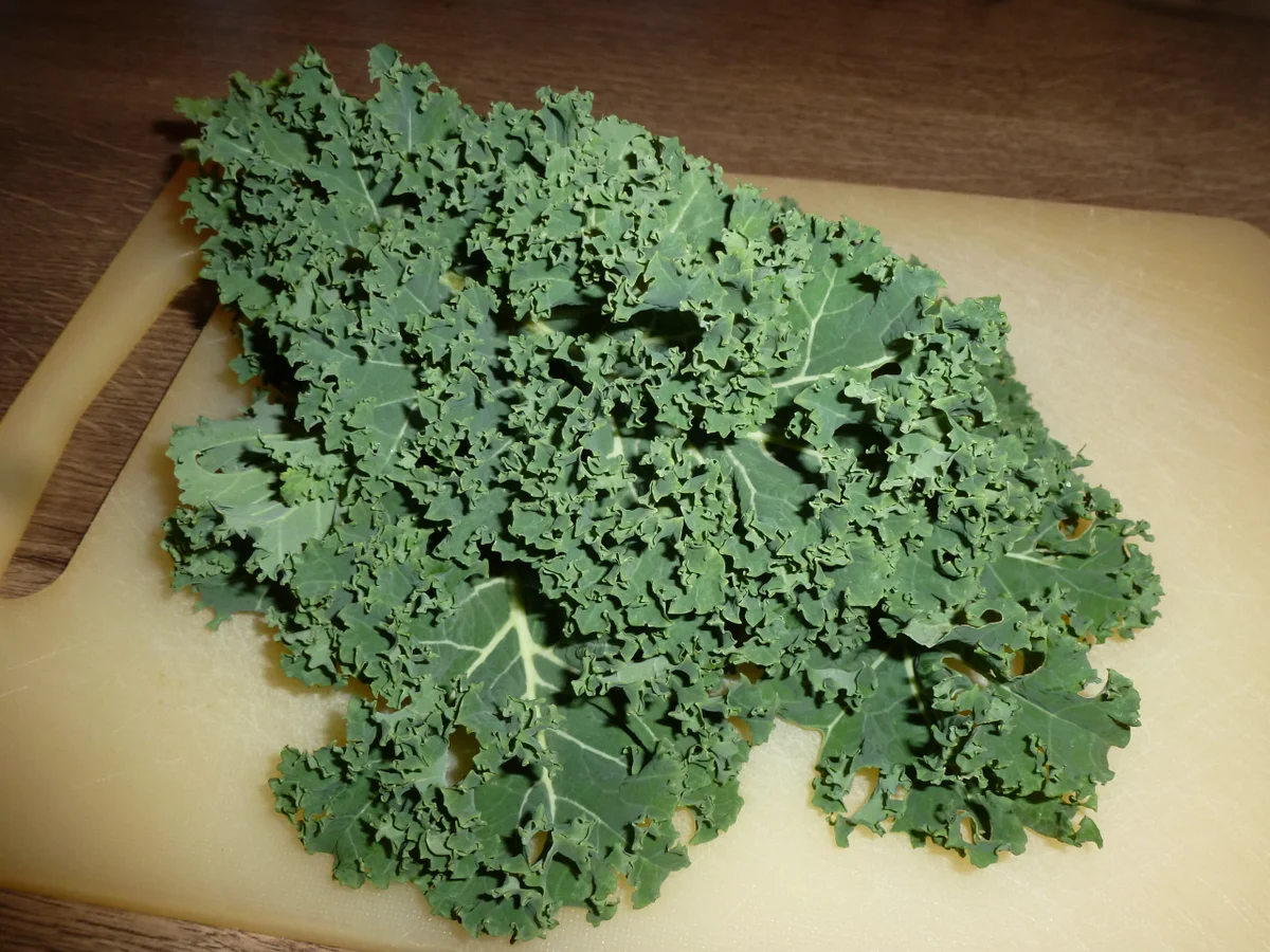 Camembert-Cashew-Röllchen - Rezept - Bild Nr. 5206