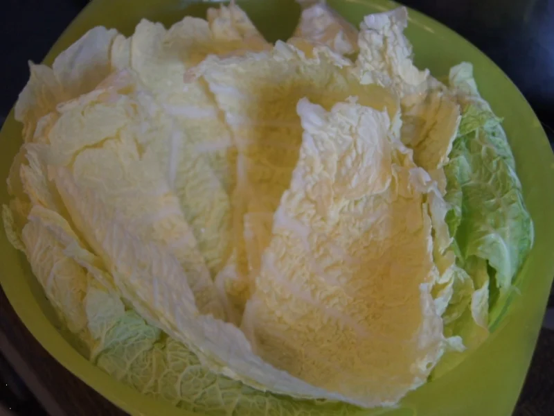 Wirsing-Hähnchen-Rouladen auf pikanter Wirsingsauce - Rezept - Bild Nr. 5206