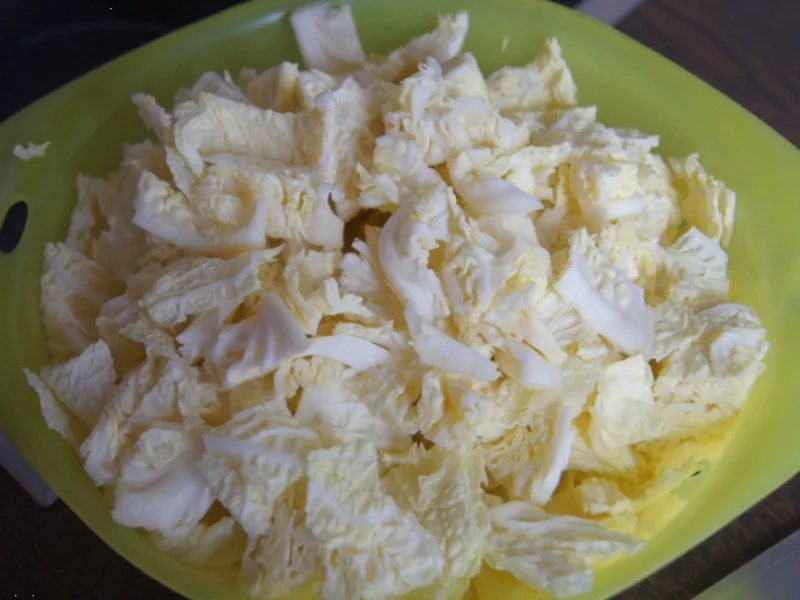 Wildlachsfilet auf herzhaften Wirsingbett - Rezept - Bild Nr. 5212