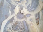 Lachsfilet Orangenbutter à la Biggi - Rezept - Bild Nr. 5215