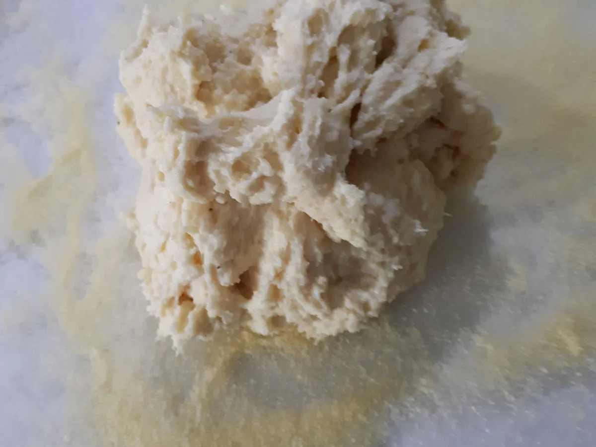 Ricotta-Gnocchi-Gratin - Rezept - Bild Nr. 5252