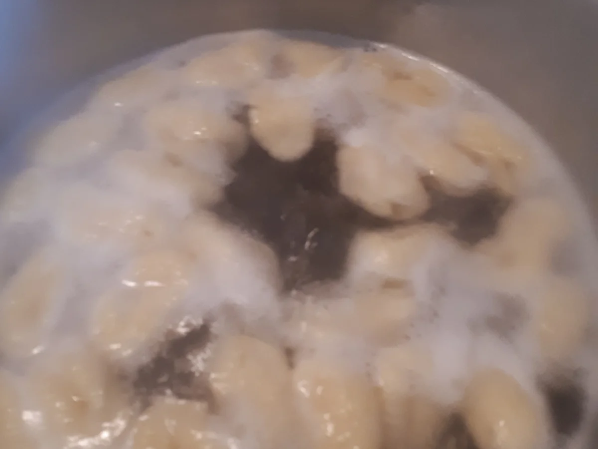 Ricotta-Gnocchi-Gratin - Rezept - Bild Nr. 5253