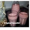 BiNe ` S TROPICAL SMOOTHIE - Rezept - Bild Nr. 2