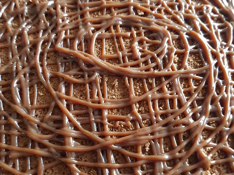 Vanille Buttercremetorte mit Feigenmus, Baiser und Karamelsosse - Rezept - Bild Nr. 5263