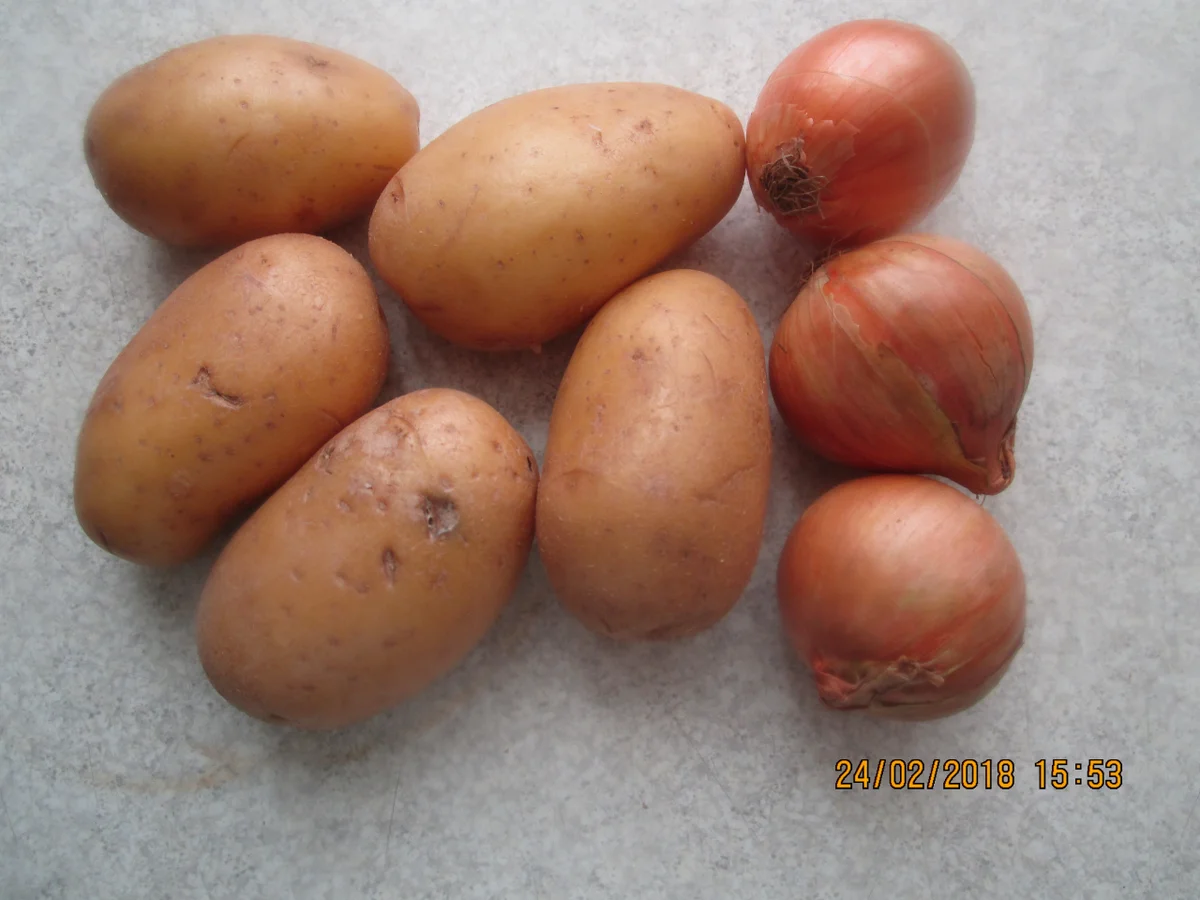 Hoppel-Poppel - Rezept - Bild Nr. 5258