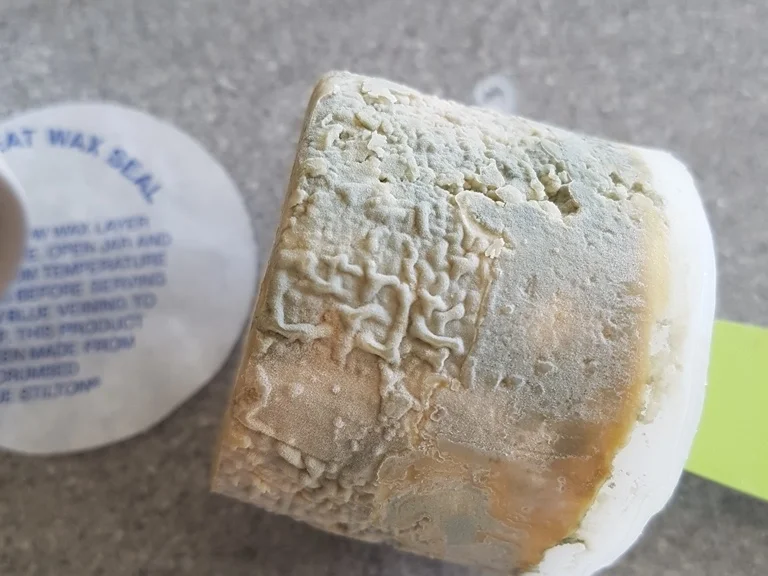 Rezept: Stilton Sosse (Käsesauce) Bild Nr. 5262 Stilton Sosse (Käsesauce) - Rezept - Bild Nr. 5262