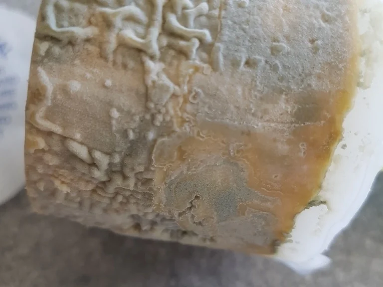 Rezept: Stilton Sosse (Käsesauce) Bild Nr. 5264 Stilton Sosse (Käsesauce) - Rezept - Bild Nr. 5264